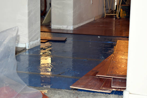 Professional Flood Cleanup technician working in Garrett, TX